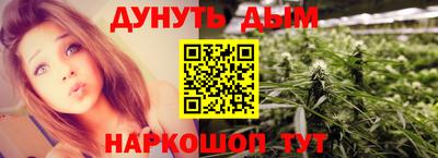 прущие грибы Краснодар